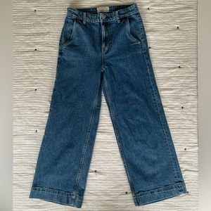 Everlane The Wide Leg Jean